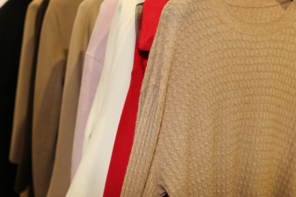 &ldquo;絲駝&rdquo;又一鐘情于駝絨產(chǎn)業(yè)的企業(yè)，綻放2023intertextile