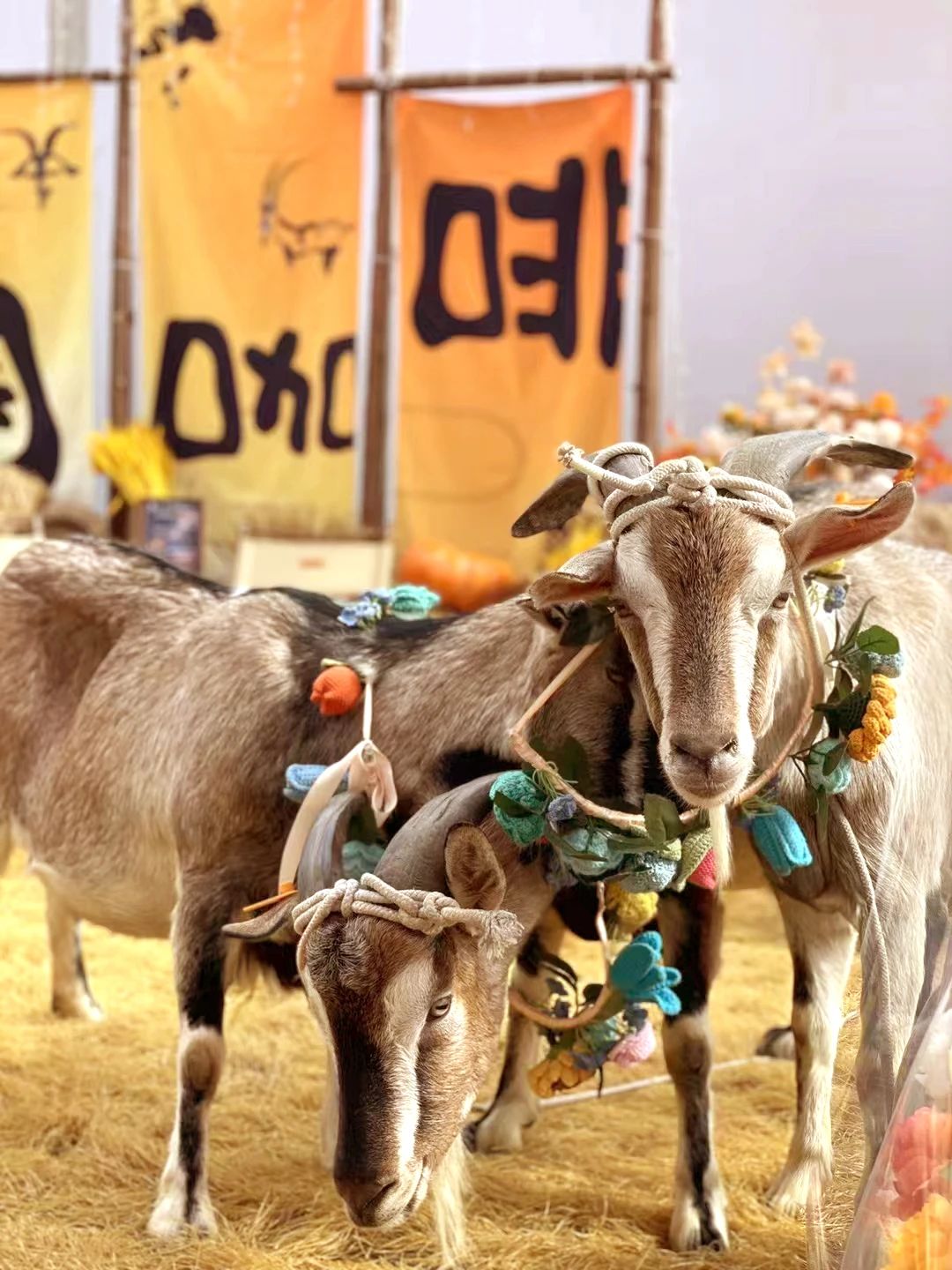 6萬人次入場，意向成交額32億元！第20屆&ldquo;織交會&rdquo;完美收官