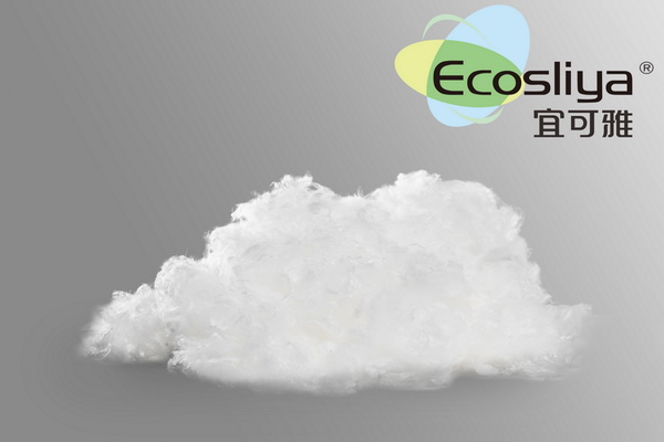 詮釋竹風(fēng)雅韻，&ldquo;纖&rdquo;動(dòng)綠色風(fēng)尚！絲麗雅系列產(chǎn)品品牌即將于柯橋發(fā)布