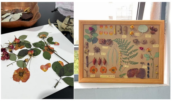 自然印記&mdash;染夏工坊課程招生！