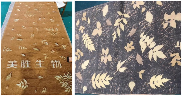 自然印記&mdash;染夏工坊課程招生！