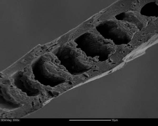 &ldquo;伯麗奴(Perino&trade;)"帚尾袋貂絨混紡紗亮相大灣區(qū)紡博會(huì)