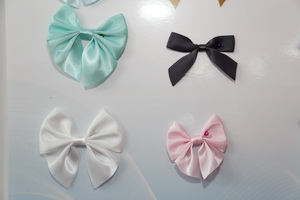  中華紡織網(wǎng)面輔料展區(qū)成功舉辦推介會(huì)，新材料、新工藝 助力興城泳裝產(chǎn)業(yè)升級(jí)