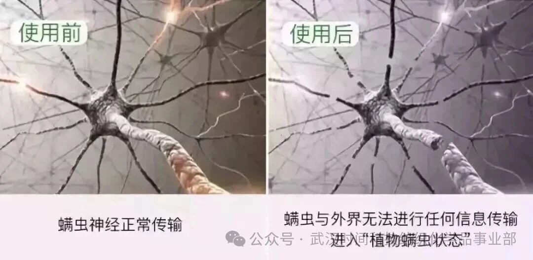  防螨！已成為健康的&ldquo;新剛需&rdquo;--武漢時間科技推出紡織品防螨整理劑喜化&reg;植螨零